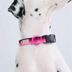 Maogoublue Marshmallow Collar