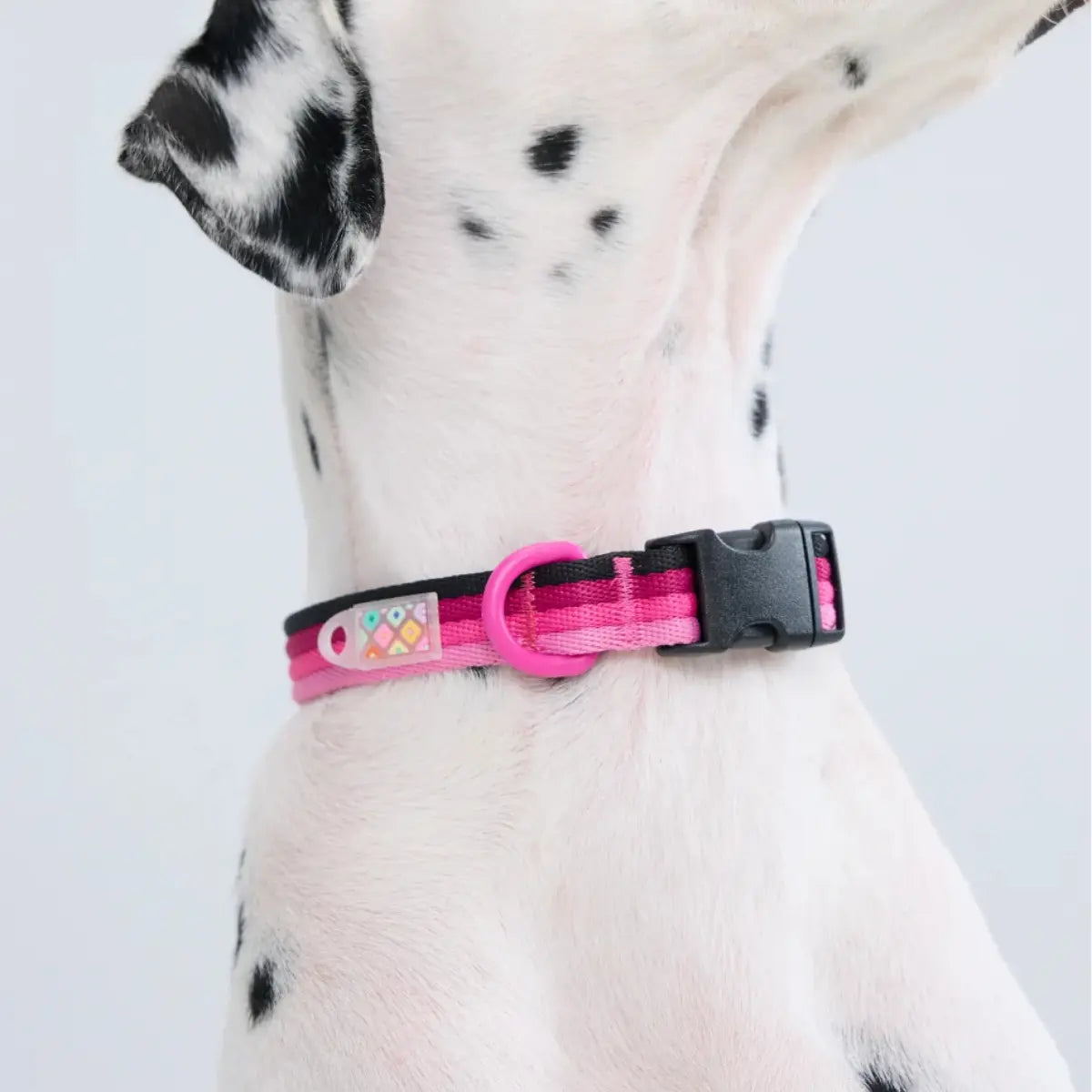 Maogoublue Marshmallow Collar