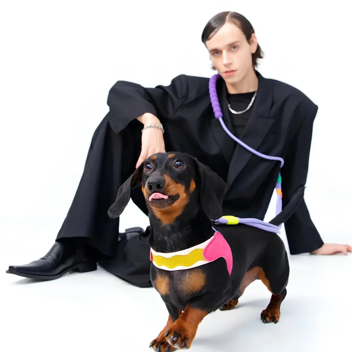 Maogoublue Island V-Shaped Dog Harness (Hawaii)