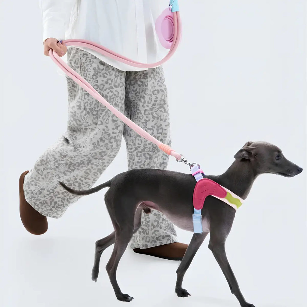 Maogoublue Island V-Shaped Dog Harness (Hawaii)