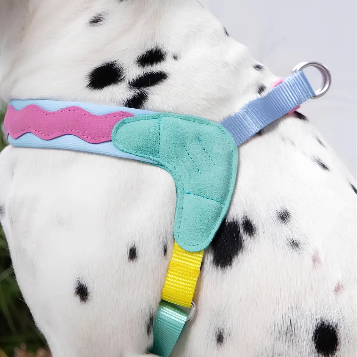 Maogoublue Island V-Shaped Dog Harness (Bail Coast)