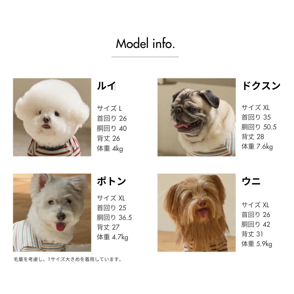 サイズチャート