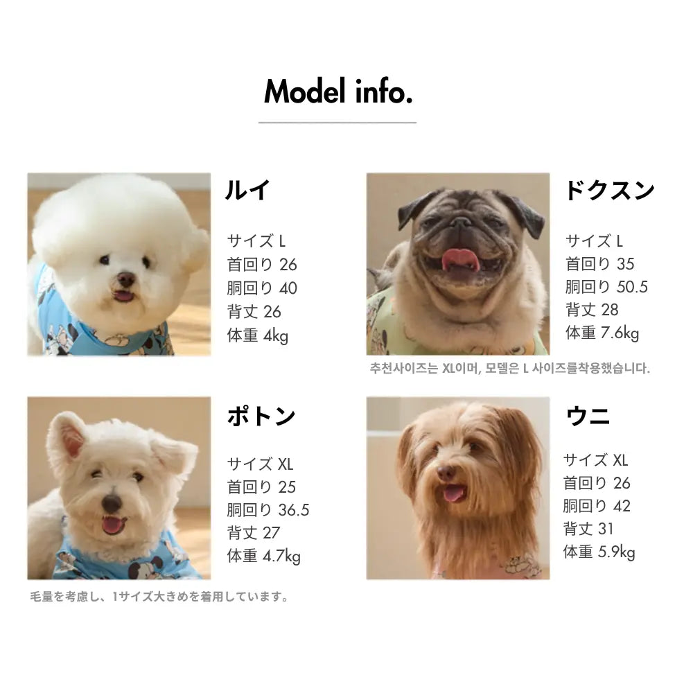 サイズチャート