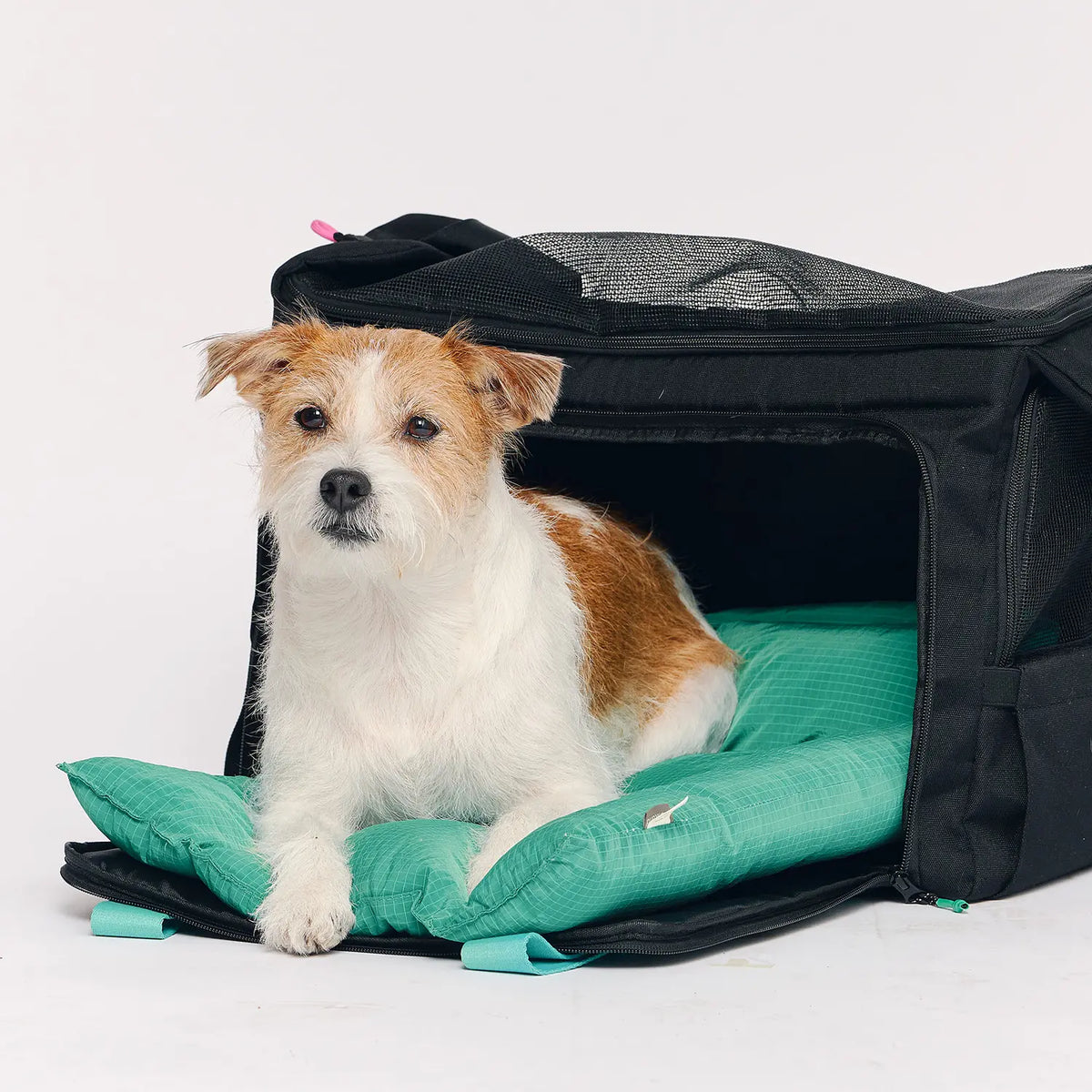 munikund BY-WRAP BAG + CUSHION - Black