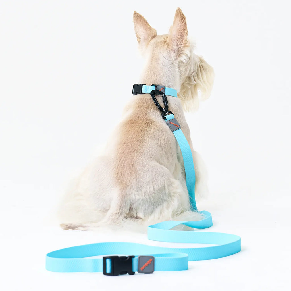 munikund Water-Block Leash