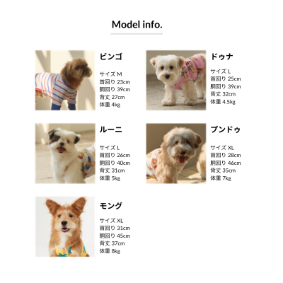 サイズチャート
