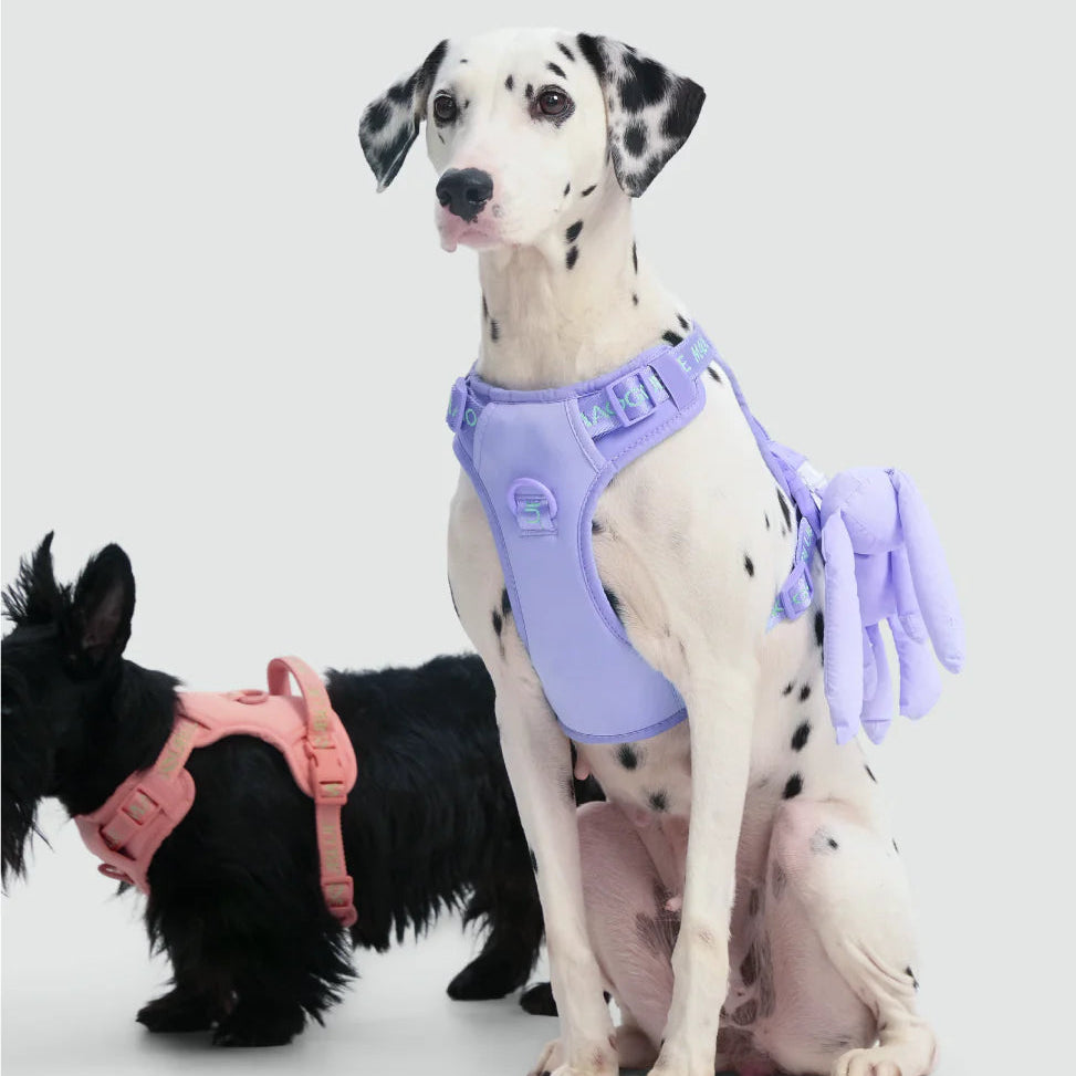 Maogoublue Central Park Harness