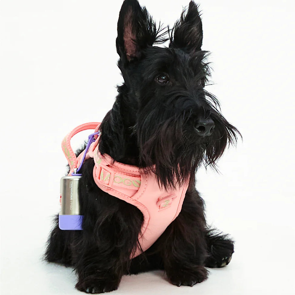 Maogoublue Central Park Harness