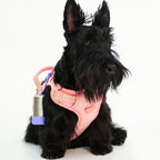 Maogoublue Central Park Harness