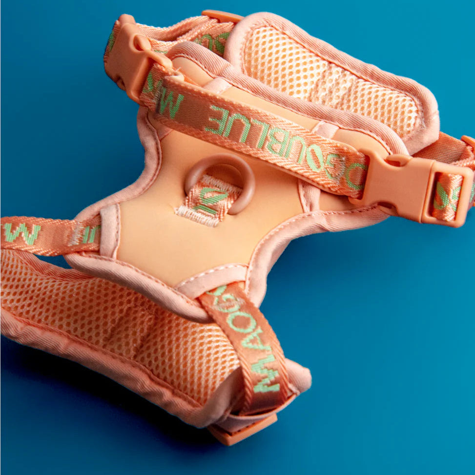 Maogoublue Central Park Harness