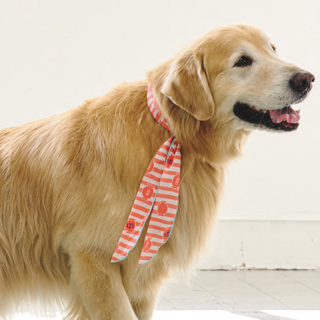 munikund Cool Scarf