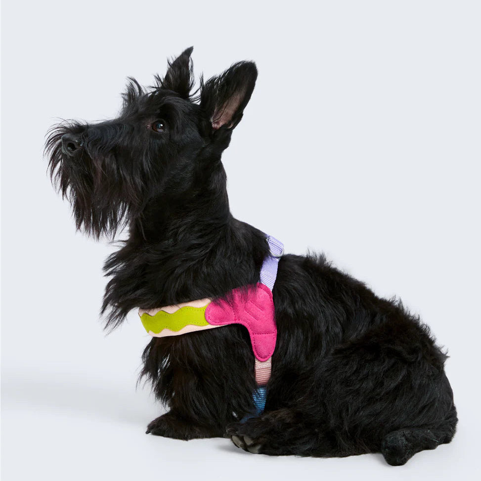 Maogoublue Island V-Shaped Dog Harness