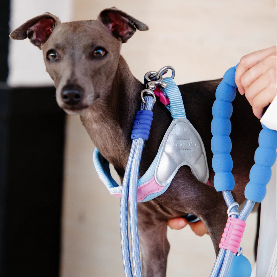 Maogoublue Island V-Shaped Dog Harness