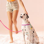 Maogoublue Island V-Shaped Dog Harness