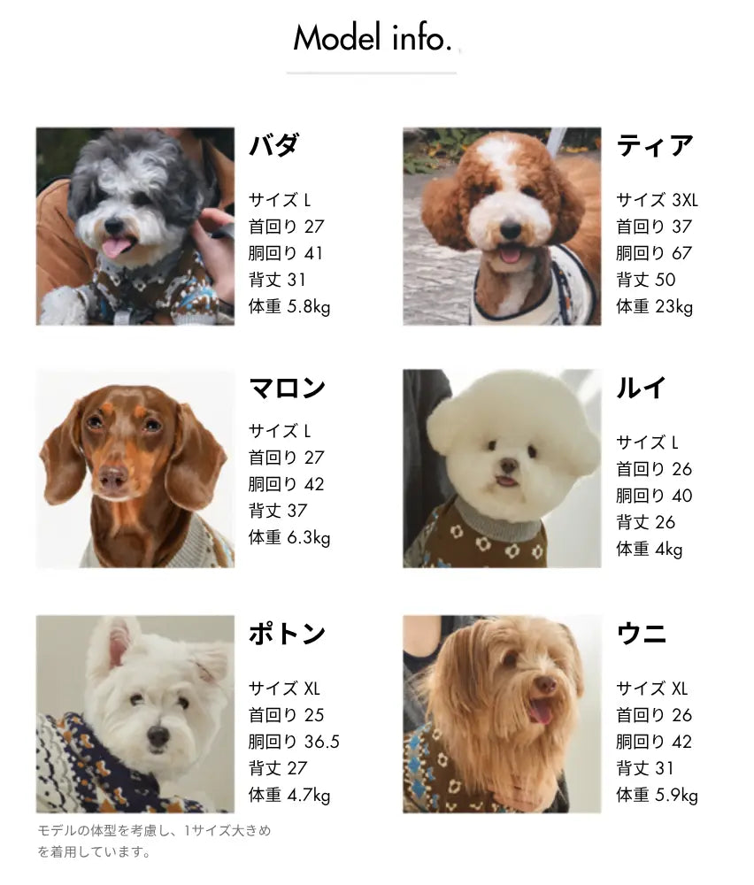 サイズチャート