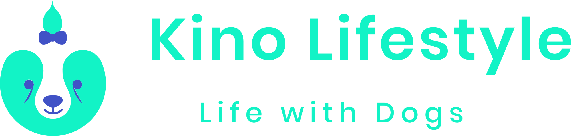 Kino Lifestyle