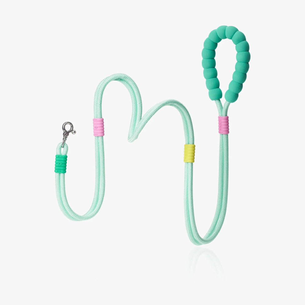 Maogoublue Marshmallow Smart Dog Leash
