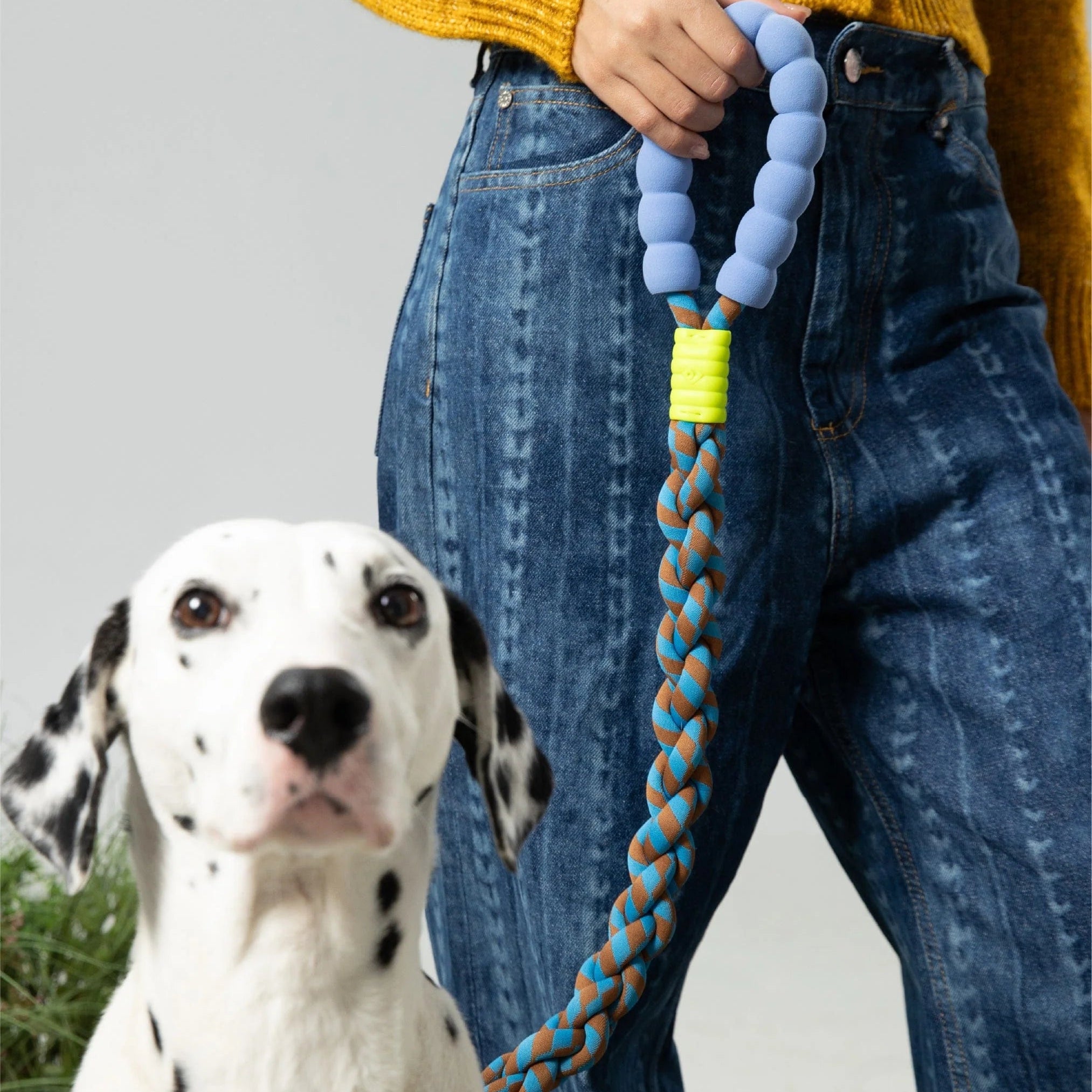 Maogoublue Marshmallow Twisted Dog Leash