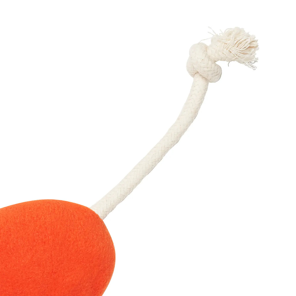 munikund All In One Toy : Nies Nose Work
