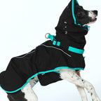 munikund Rain Runner Pro