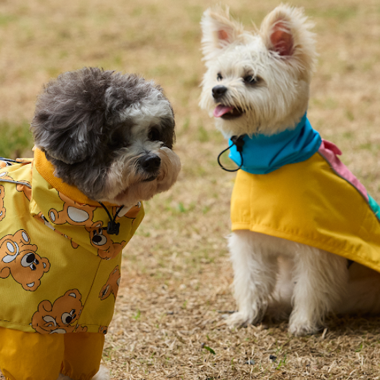 andblank Raincoat Jacket