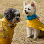 andblank Raincoat Jacket