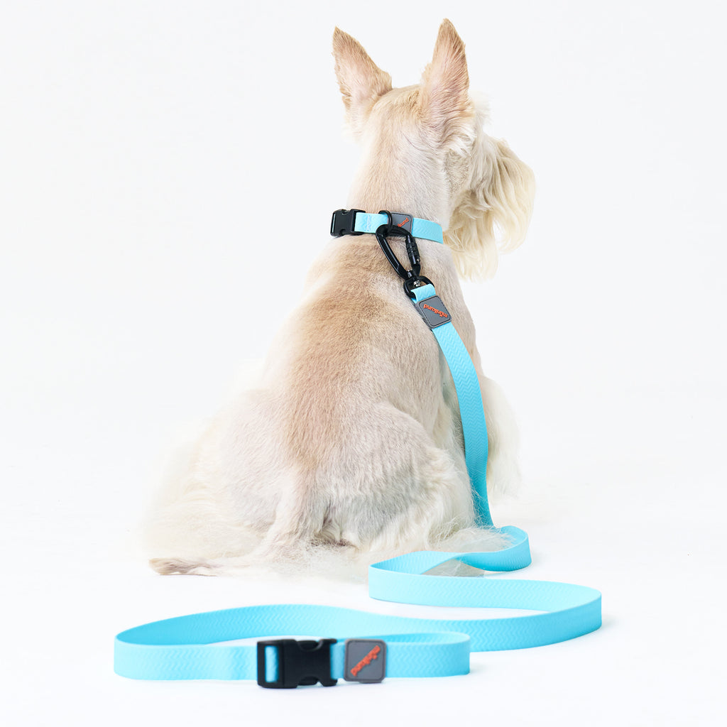 munikund Water-Block Leash