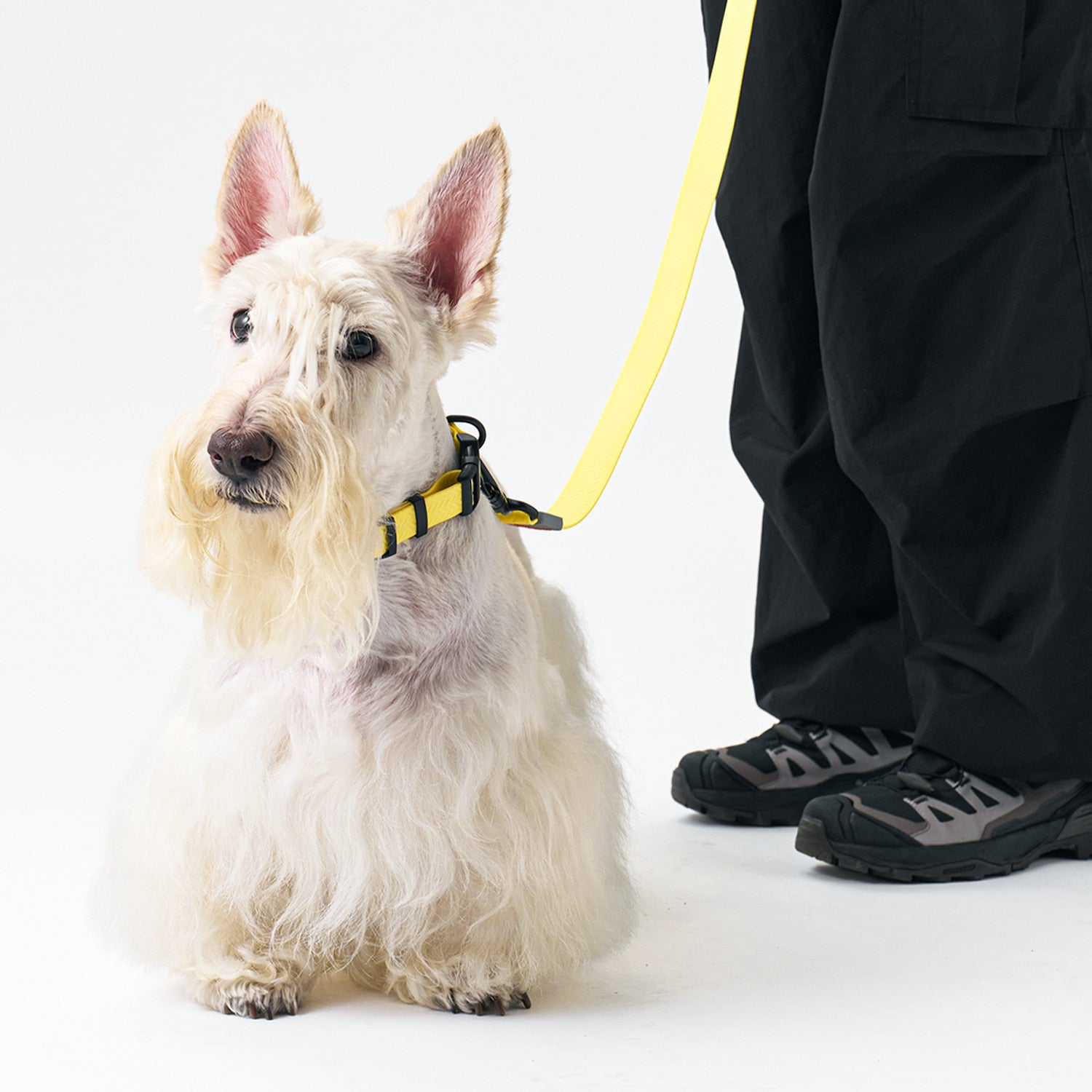 munikund Water-Block Leash