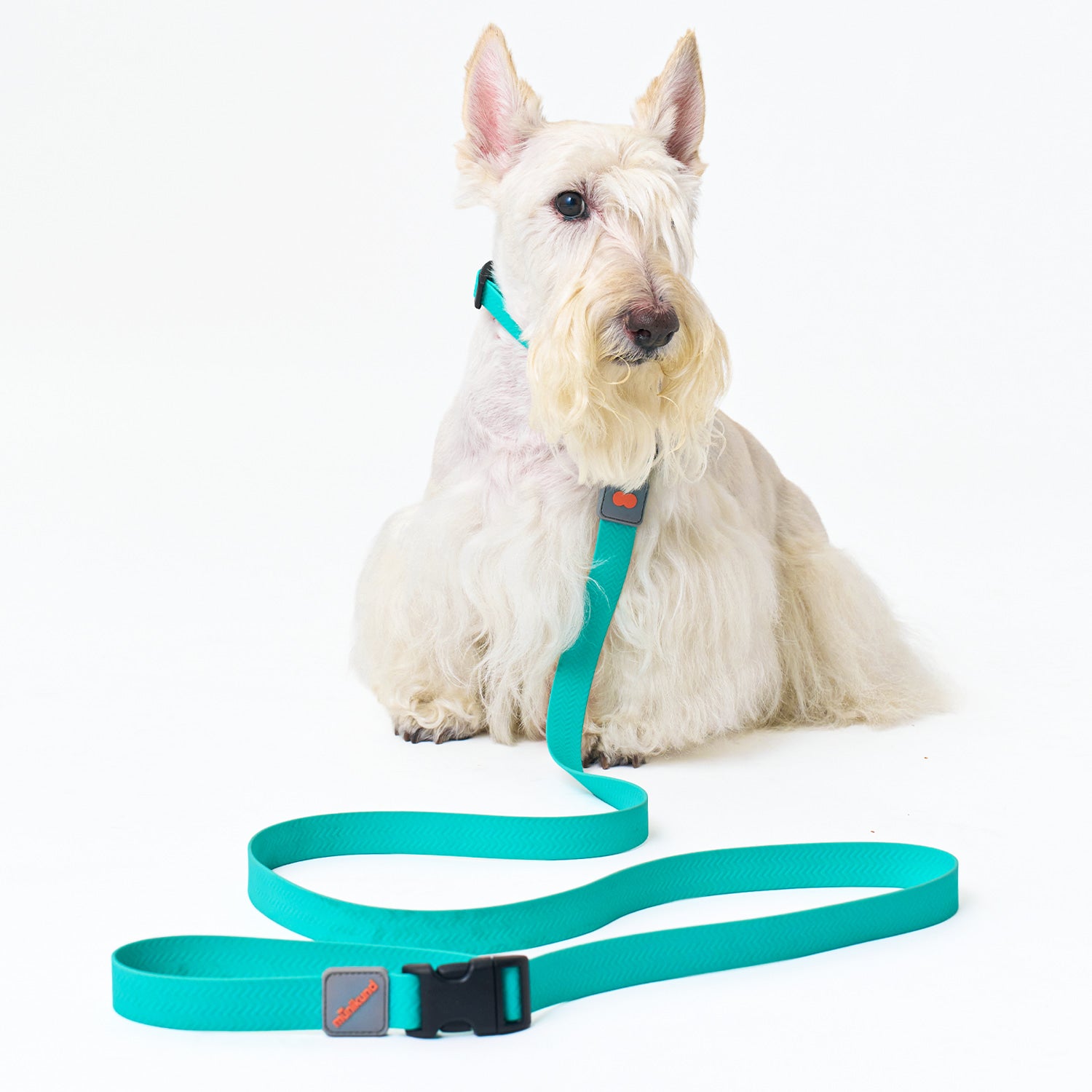 munikund Water-Block Leash