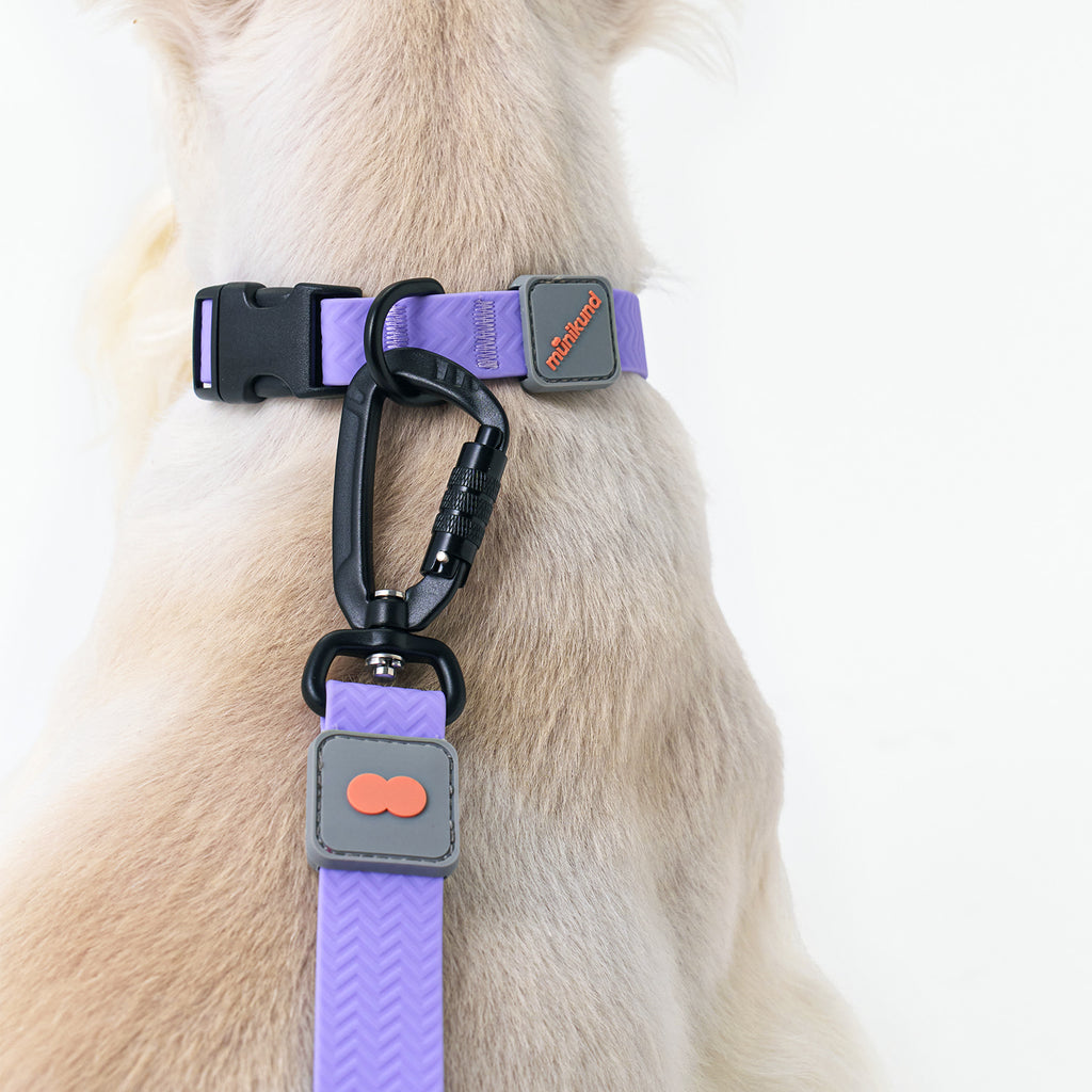 munikund Water-Block Leash