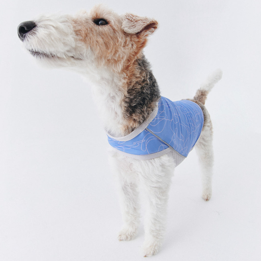 munikund Weiss Cooling Vest