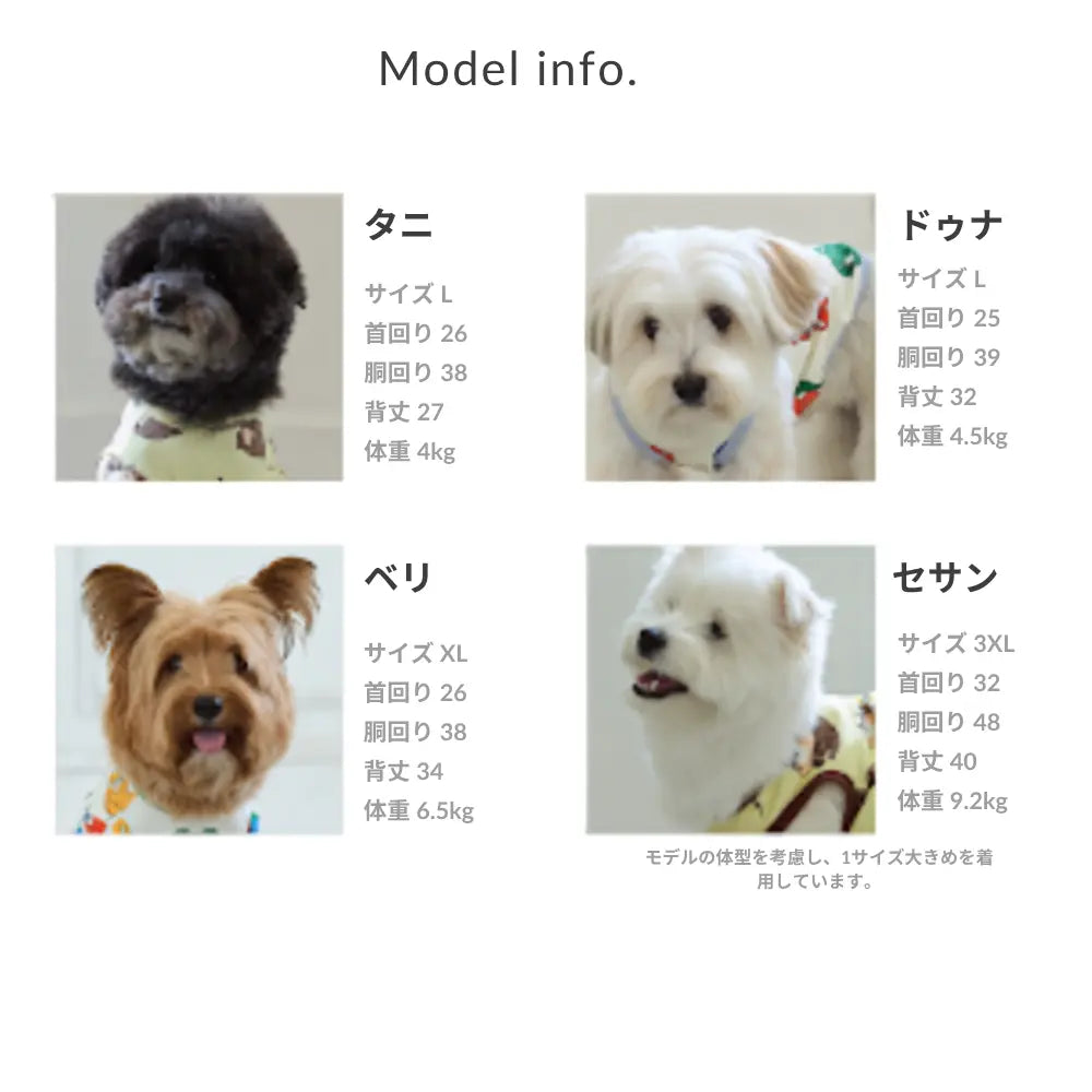サイズチャート