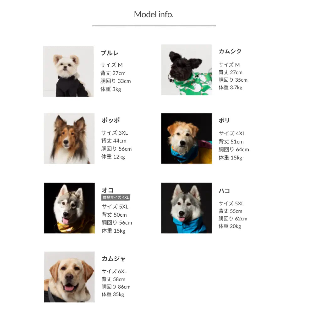 サイズチャート