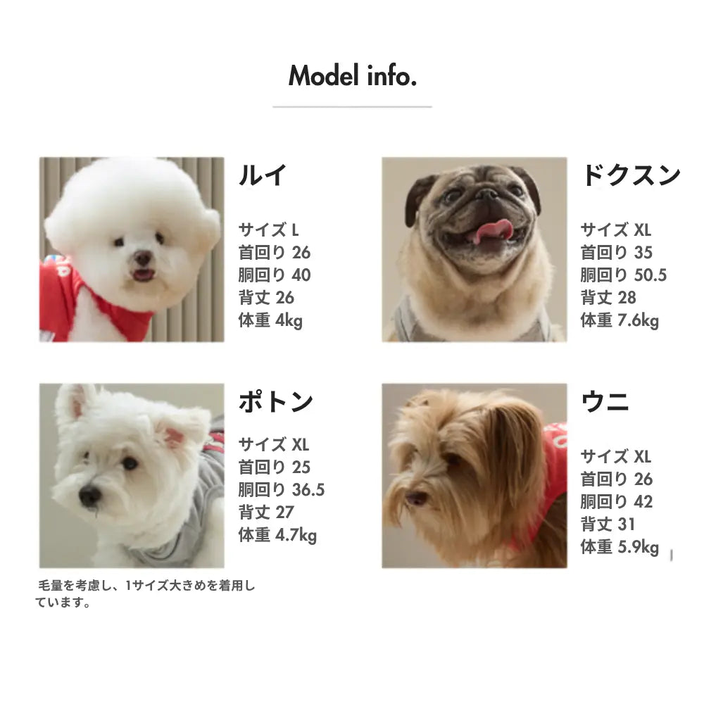 サイズチャート
